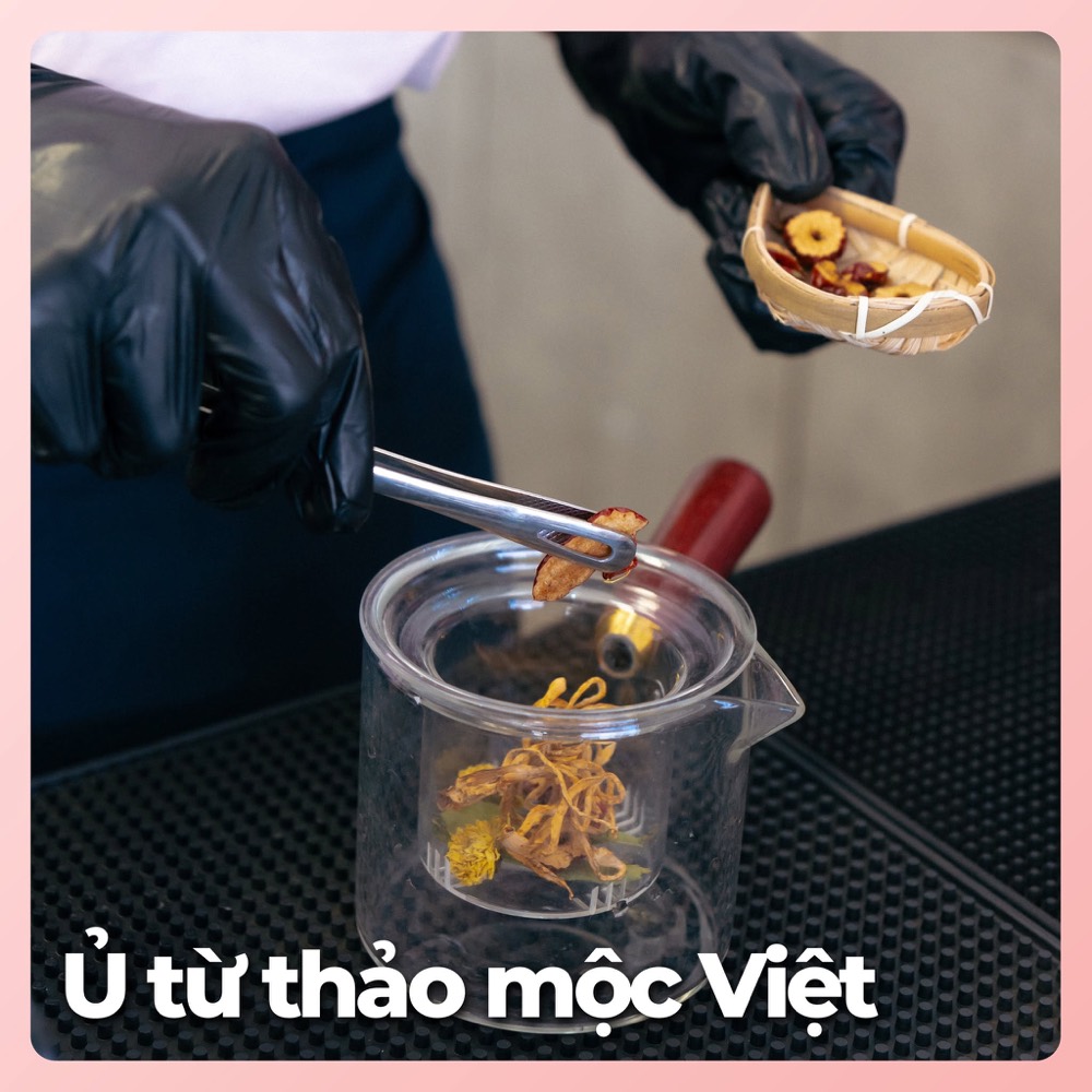 Ủ từ thảo mộc Việt