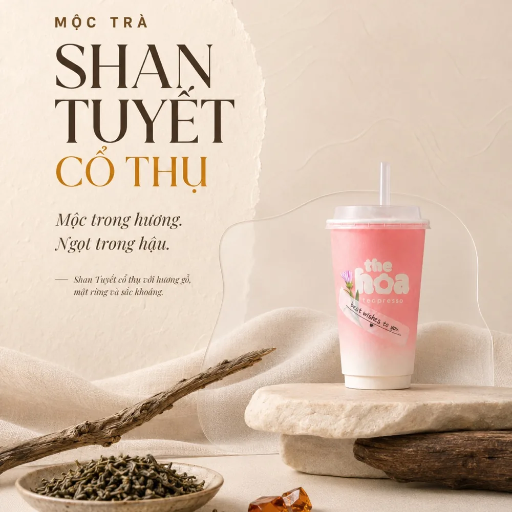 Mộc Trà Shan Tuyết Cổ Thụ