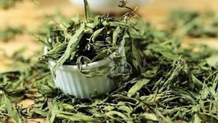 Cỏ ngọt
